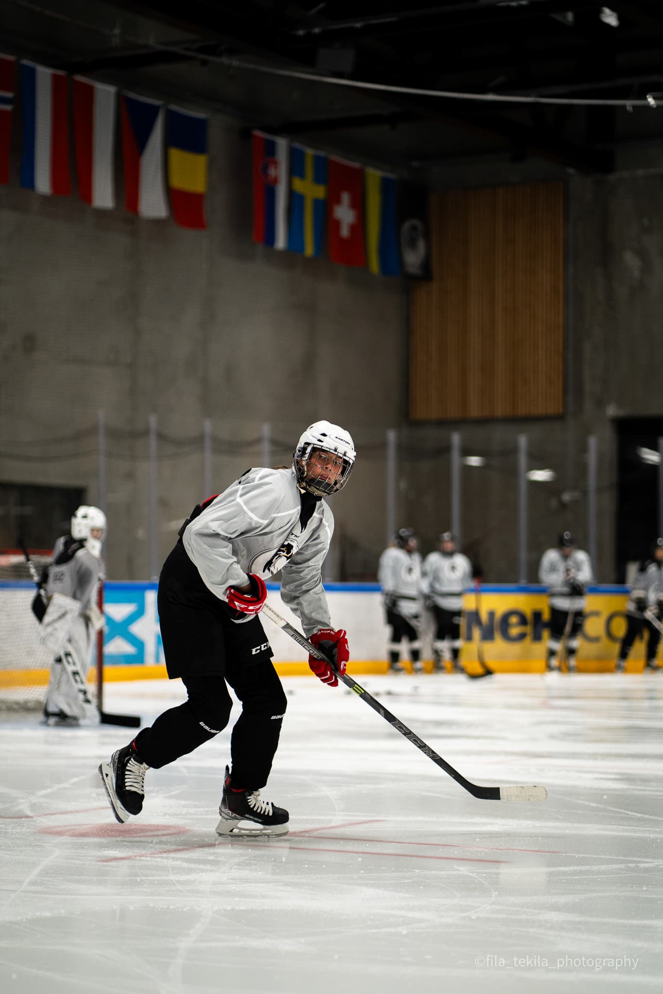 Ice Hockey game