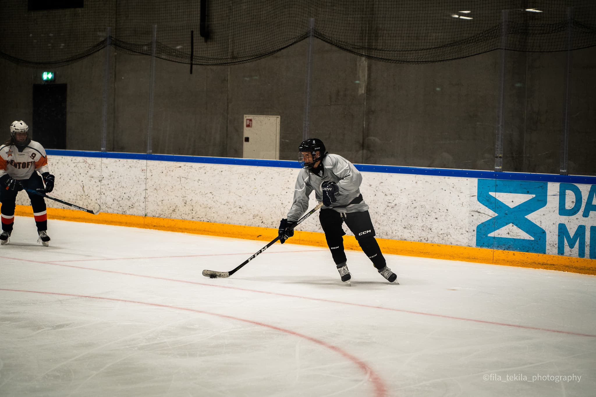 Ice Hockey game