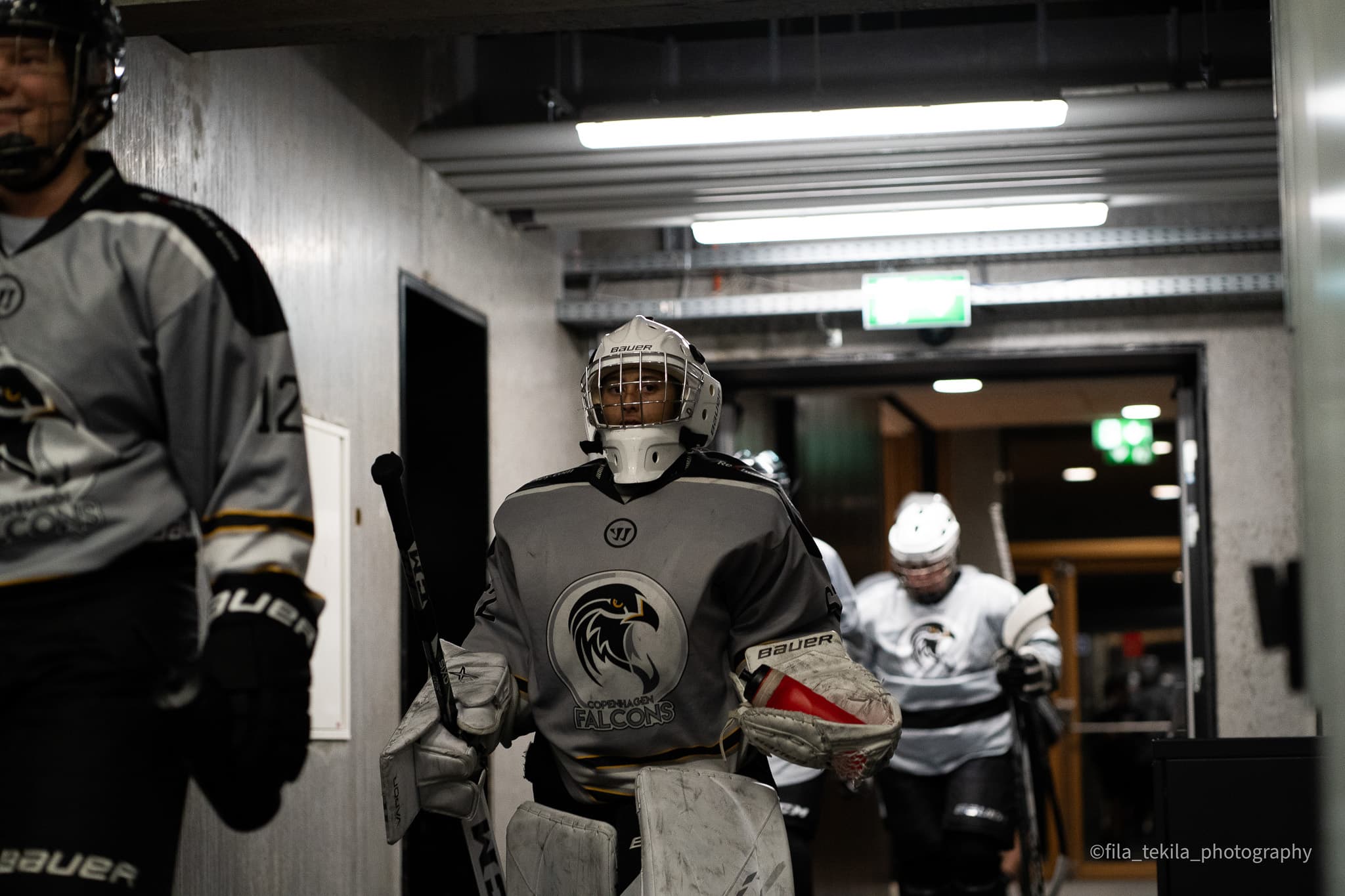 Ice Hockey game