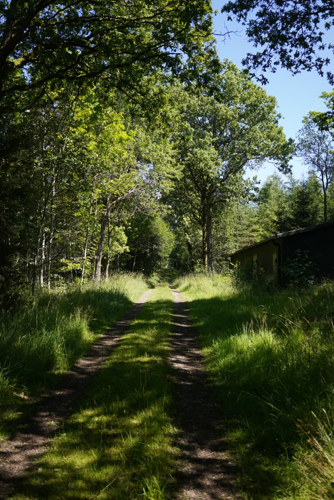 Day one: aarhus trip